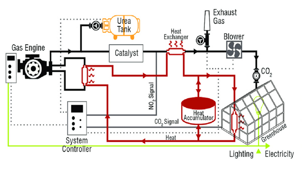 Schematic-diagram-of-flue-gas-generator-in-greenhouse-Source-Vadogroup_副本